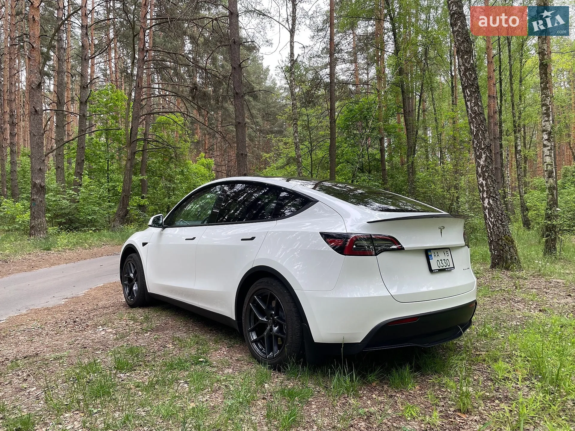 2022 Tesla Model Y - мініатюра 4