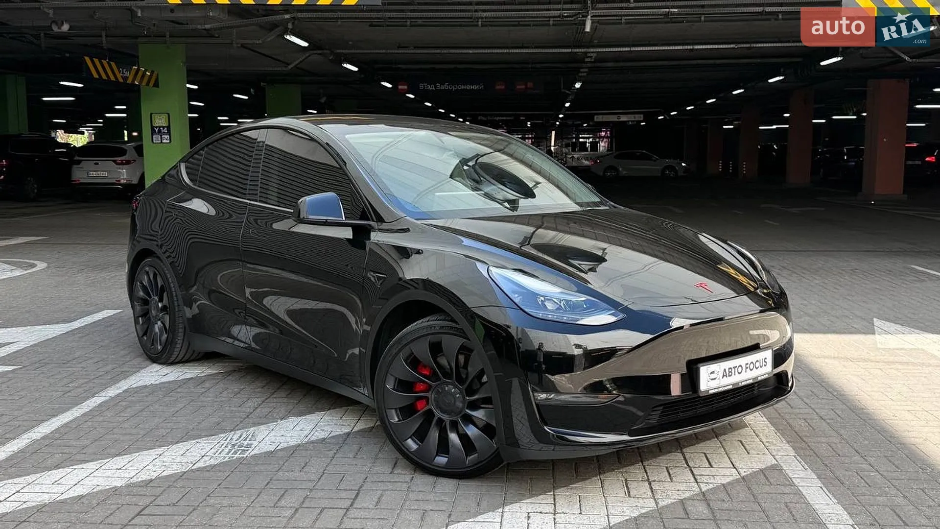 2023 Tesla Model Y - фото 1
