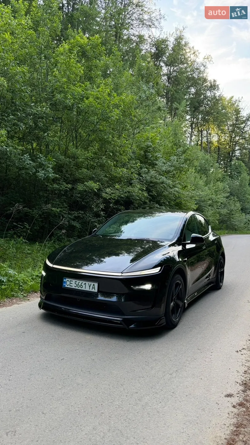 2025 Tesla Model Y - мініатюра 4