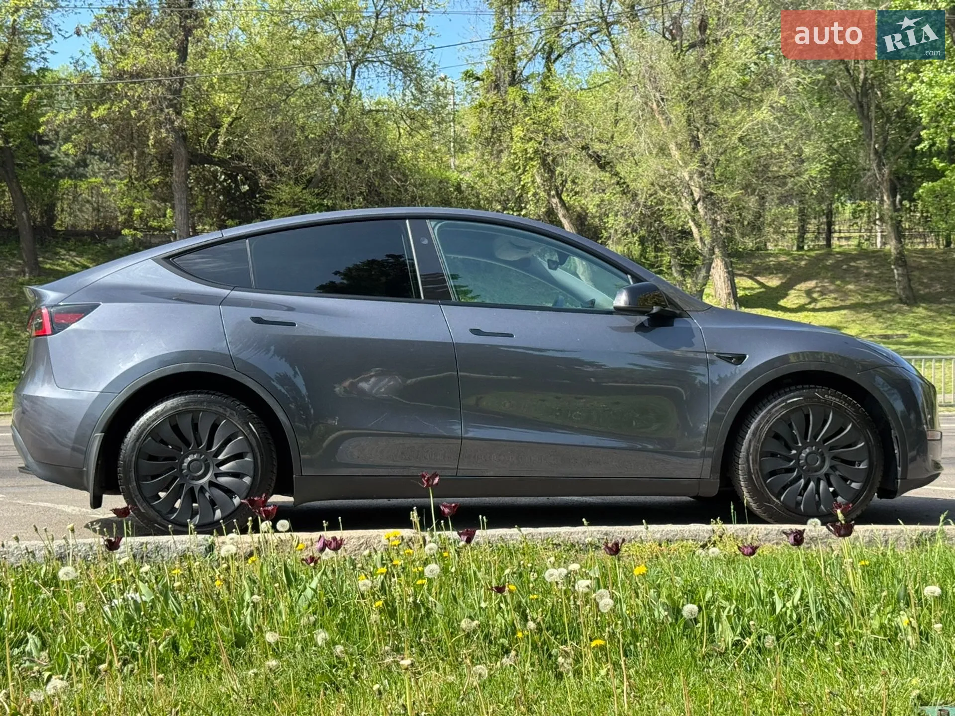 2023 Tesla Model Y - мініатюра 12