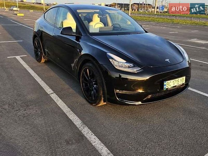 Позашляховик / Кросовер Tesla Model Y 2020 в Житомирі