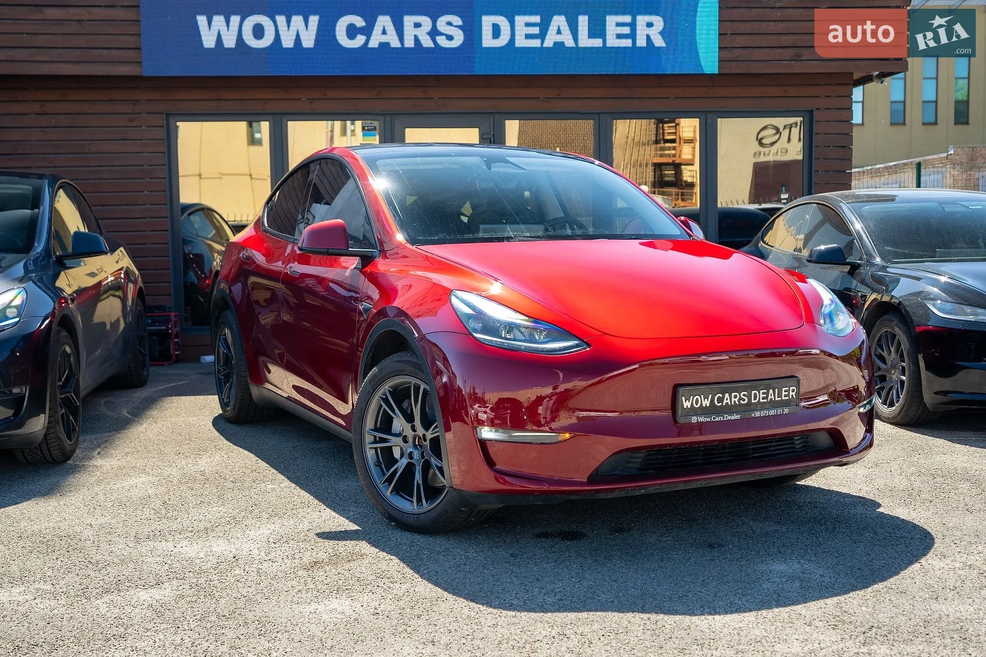 2024 Tesla Model Y - фото 1