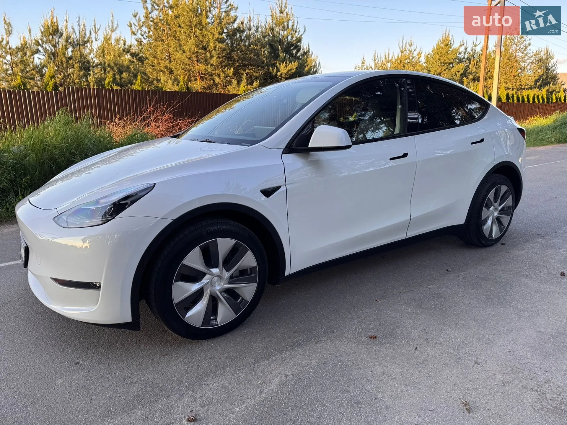 2023 Tesla Model Y - мініатюра 5