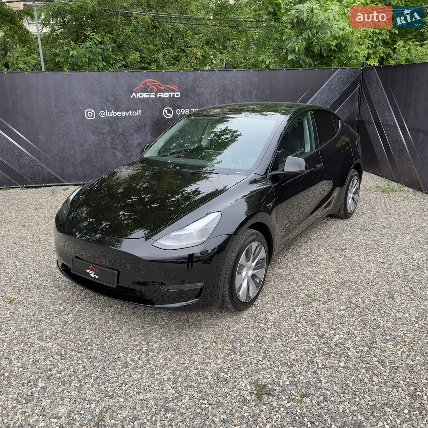 2023 Tesla Model Y - фото 1