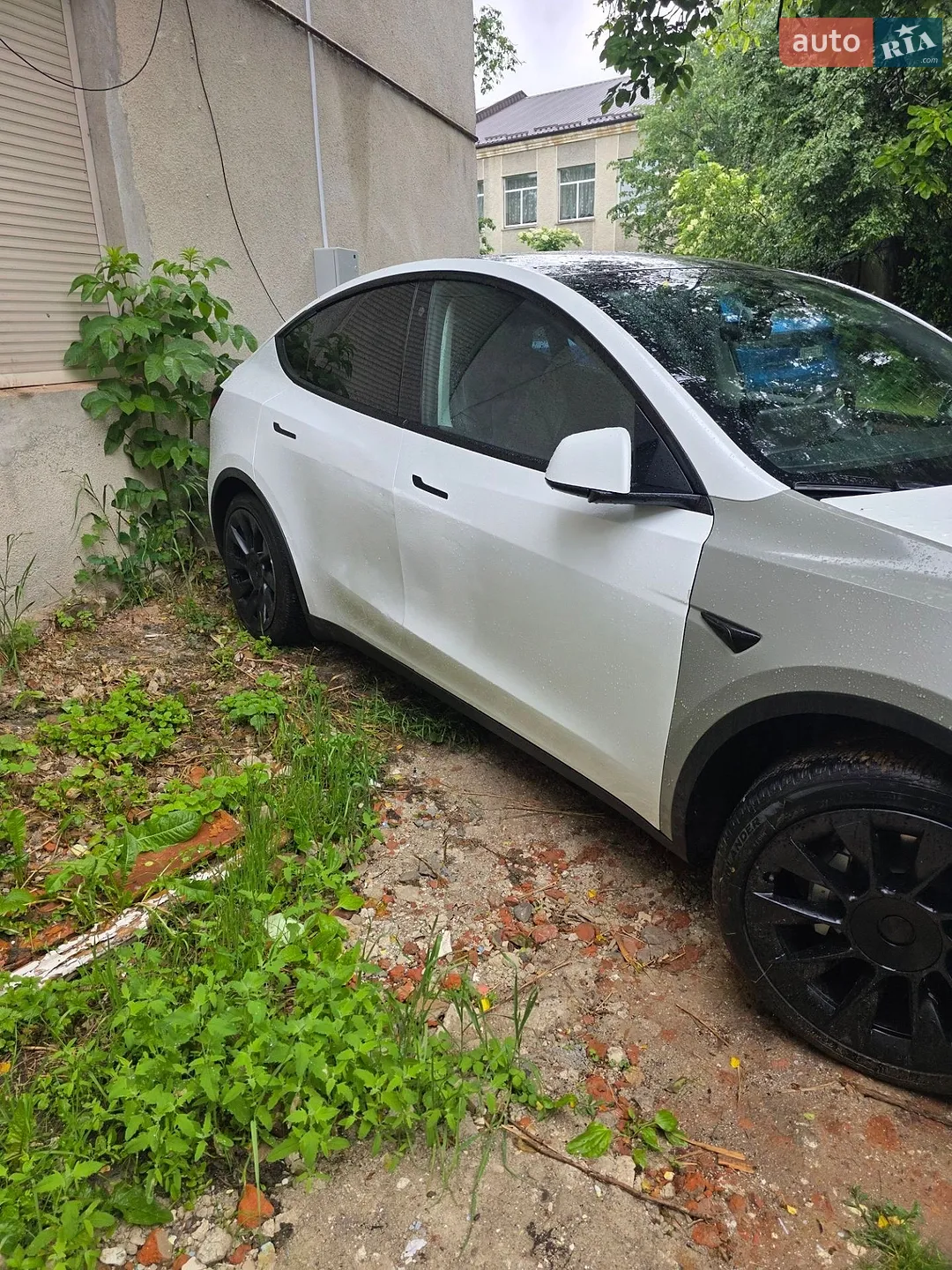 2022 Tesla Model Y - фото 1