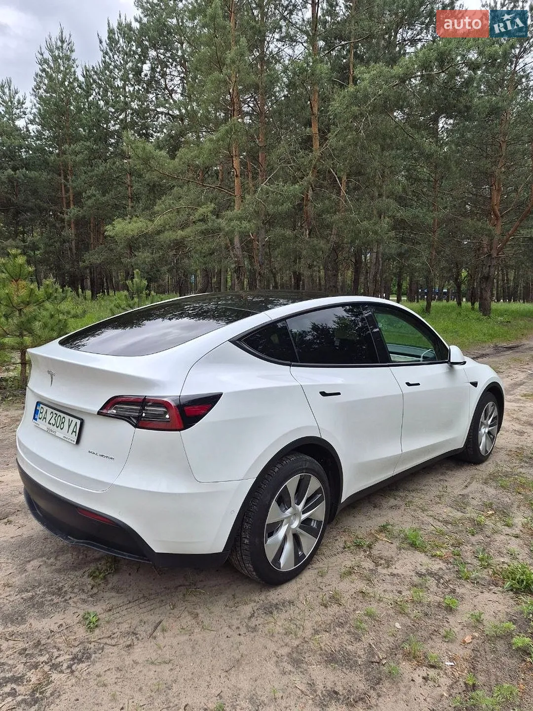 2021 Tesla Model Y - мініатюра 2