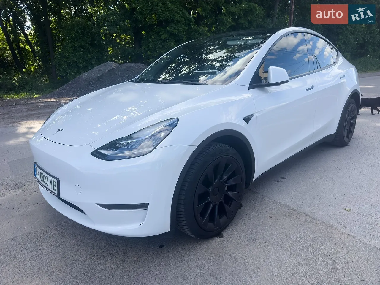 2023 Tesla Model Y - мініатюра 17