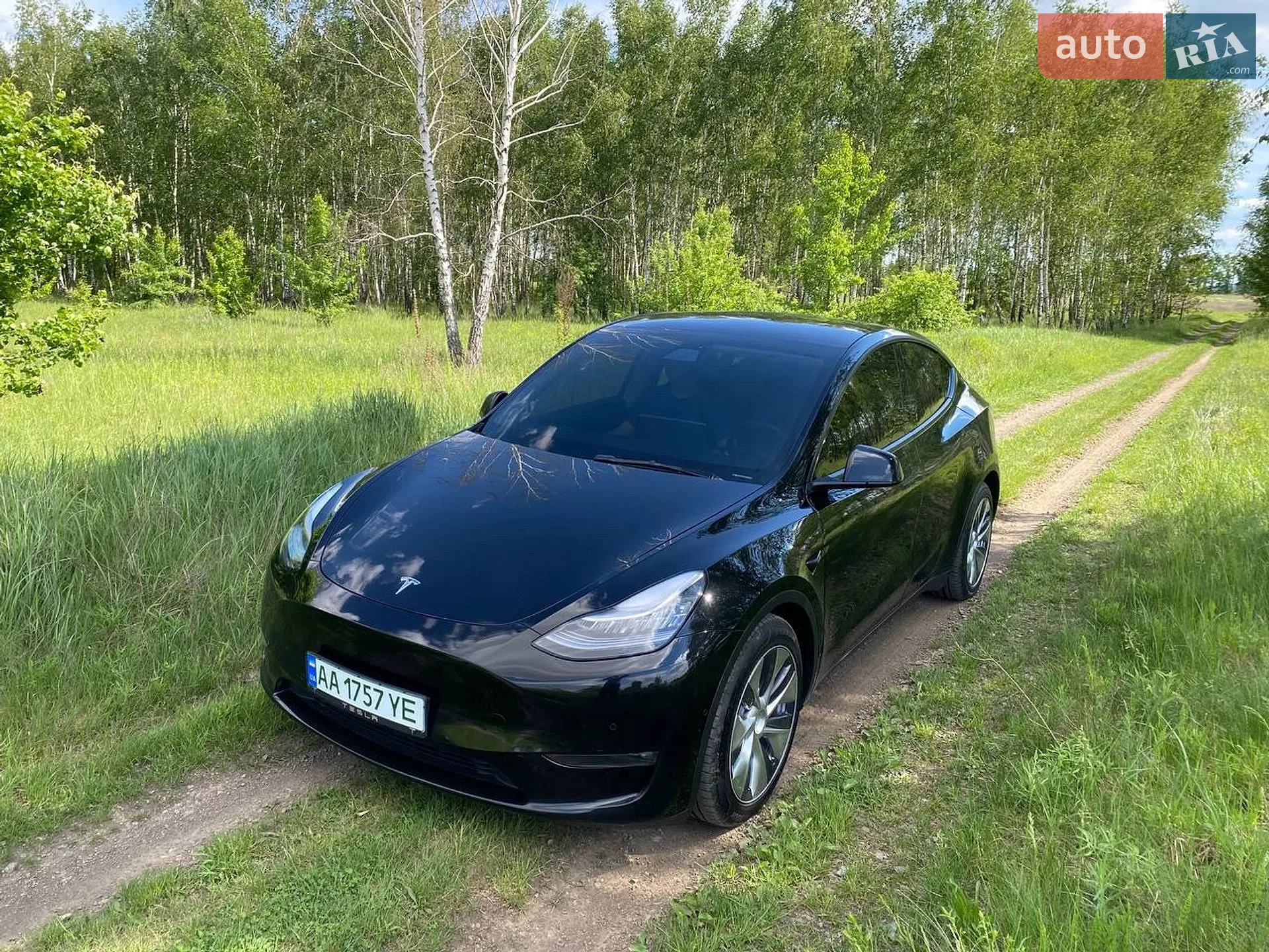 2021 Tesla Model Y - мініатюра 2