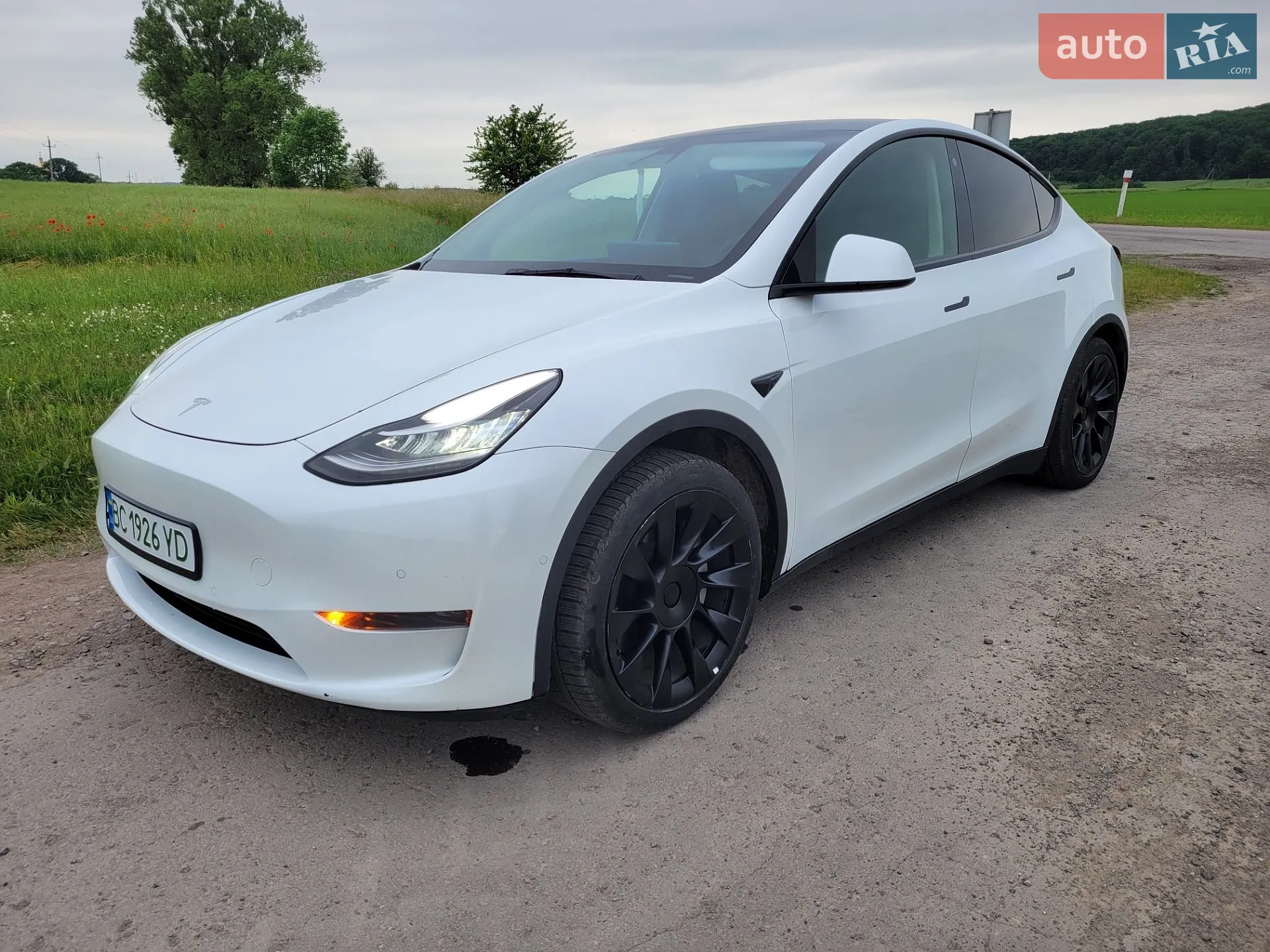 2020 Tesla Model Y - фото 1
