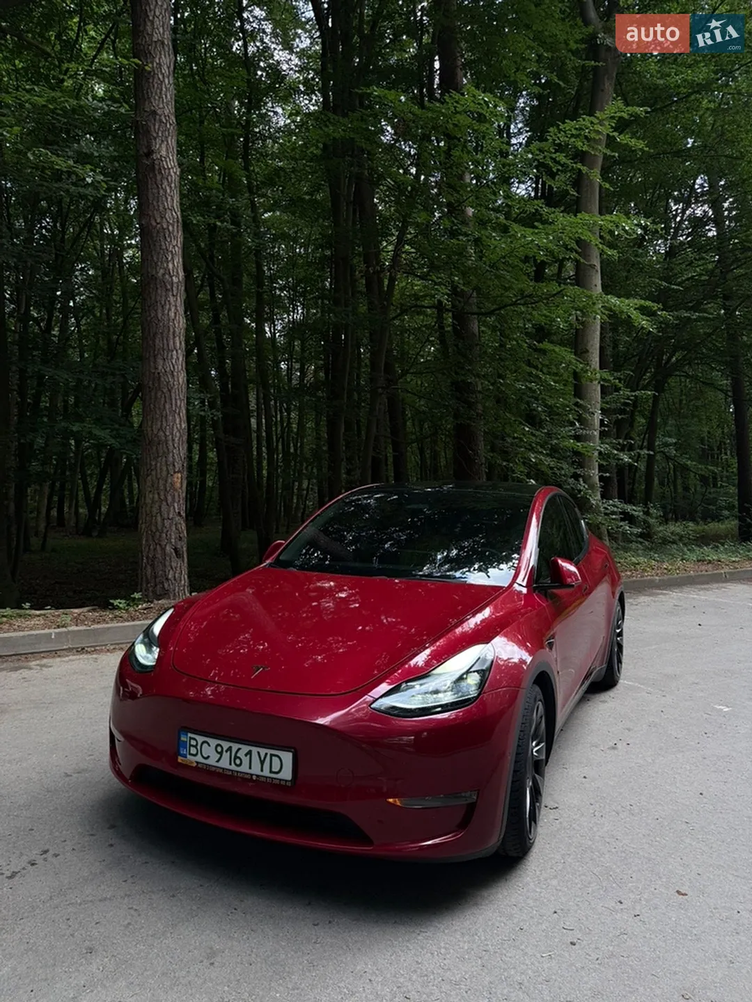 2022 Tesla Model Y - мініатюра 2