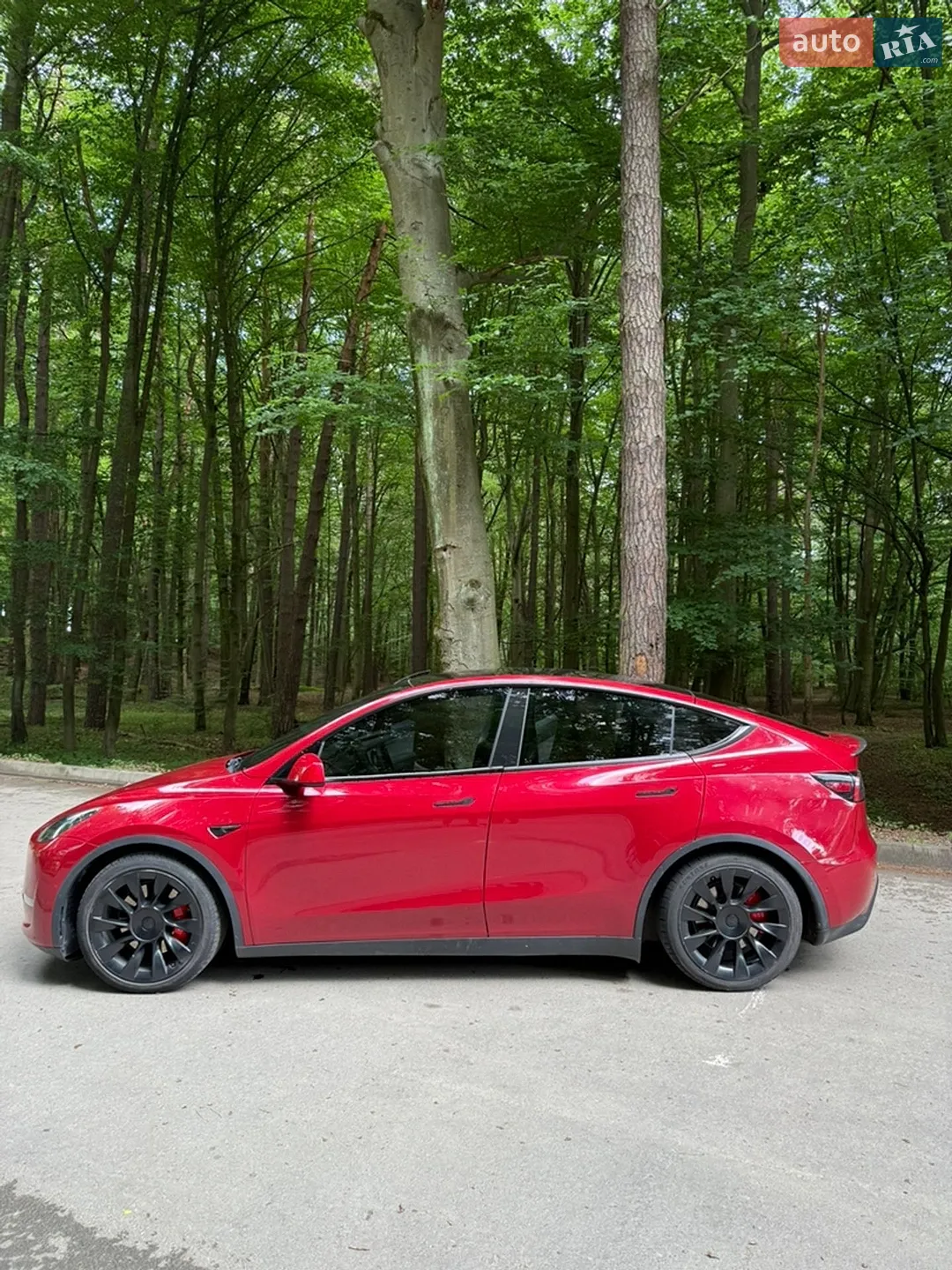 2022 Tesla Model Y - мініатюра 5