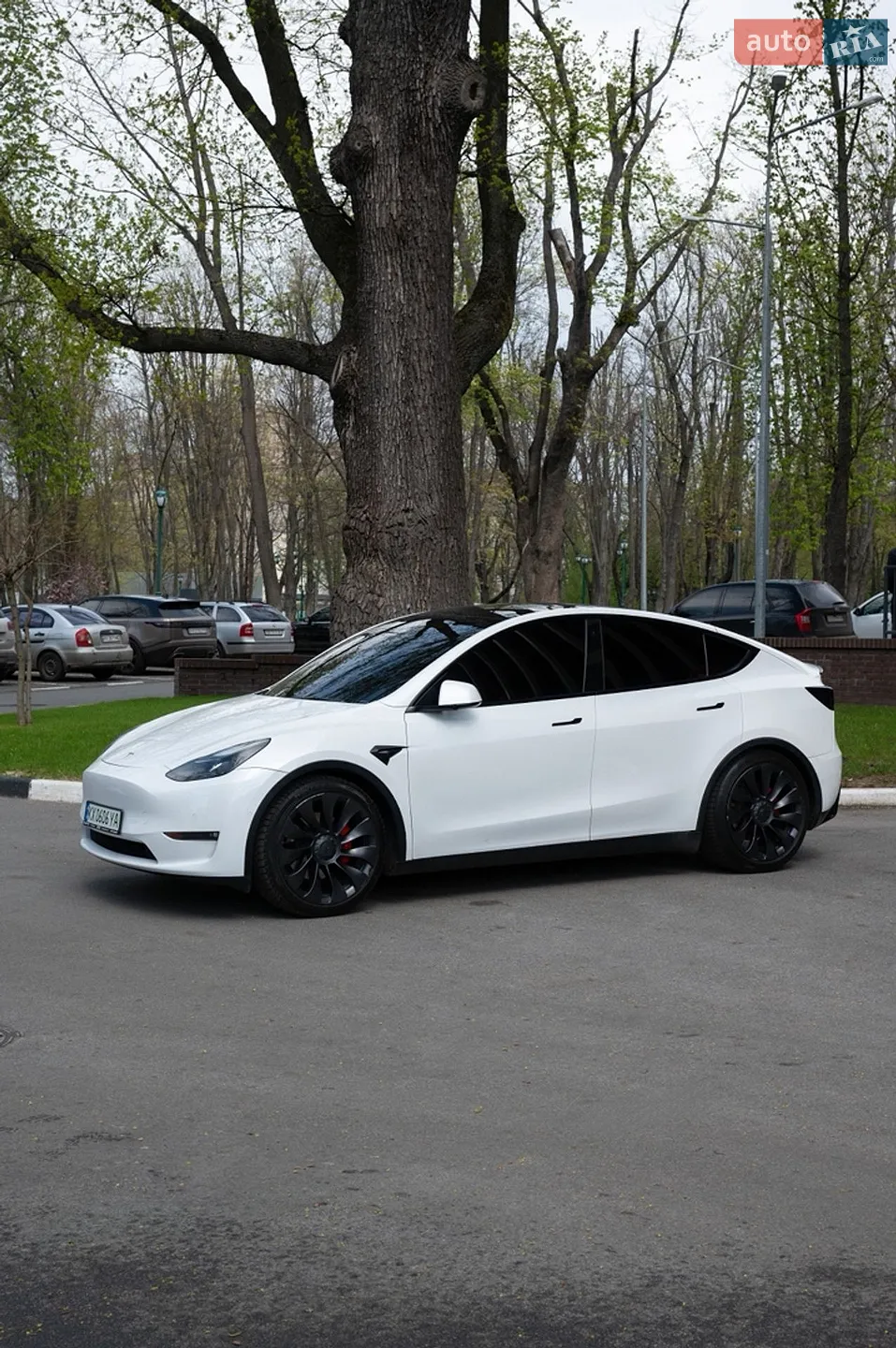 2021 Tesla Model Y - мініатюра 2