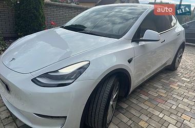 Внедорожник / Кроссовер Tesla Model Y 2021 в Черновцах