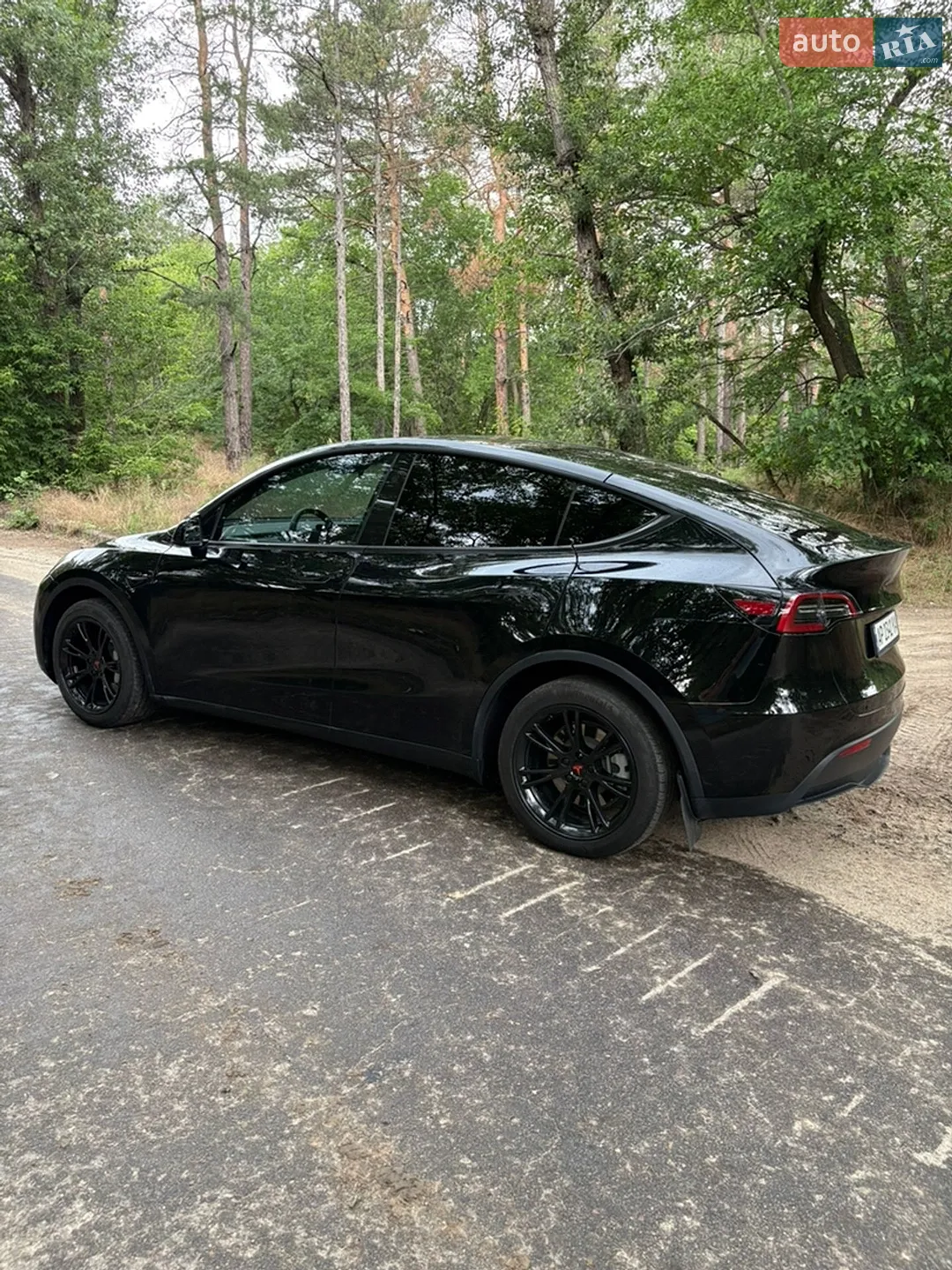 2024 Tesla Model Y - мініатюра 13