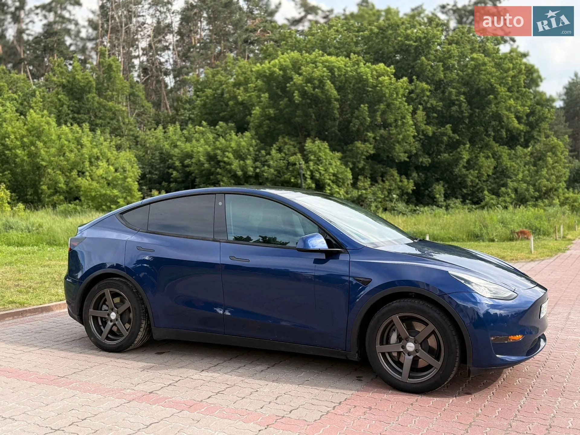 2021 Tesla Model Y - мініатюра 3