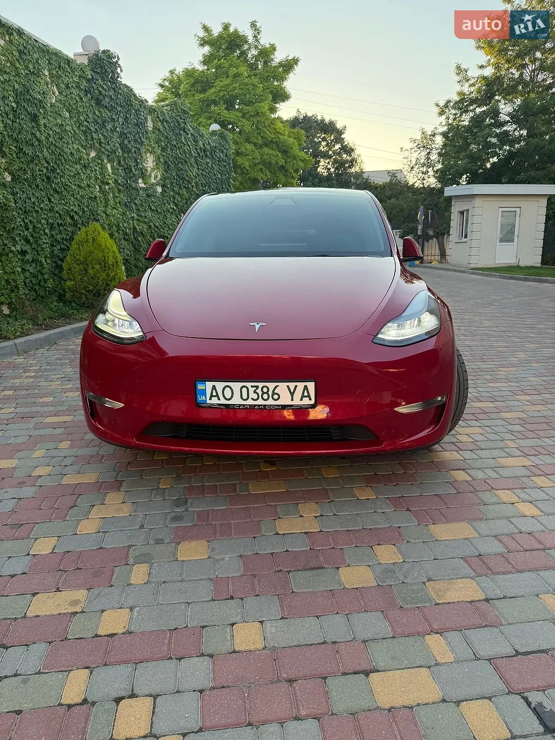 2022 Tesla Model Y - фото 1
