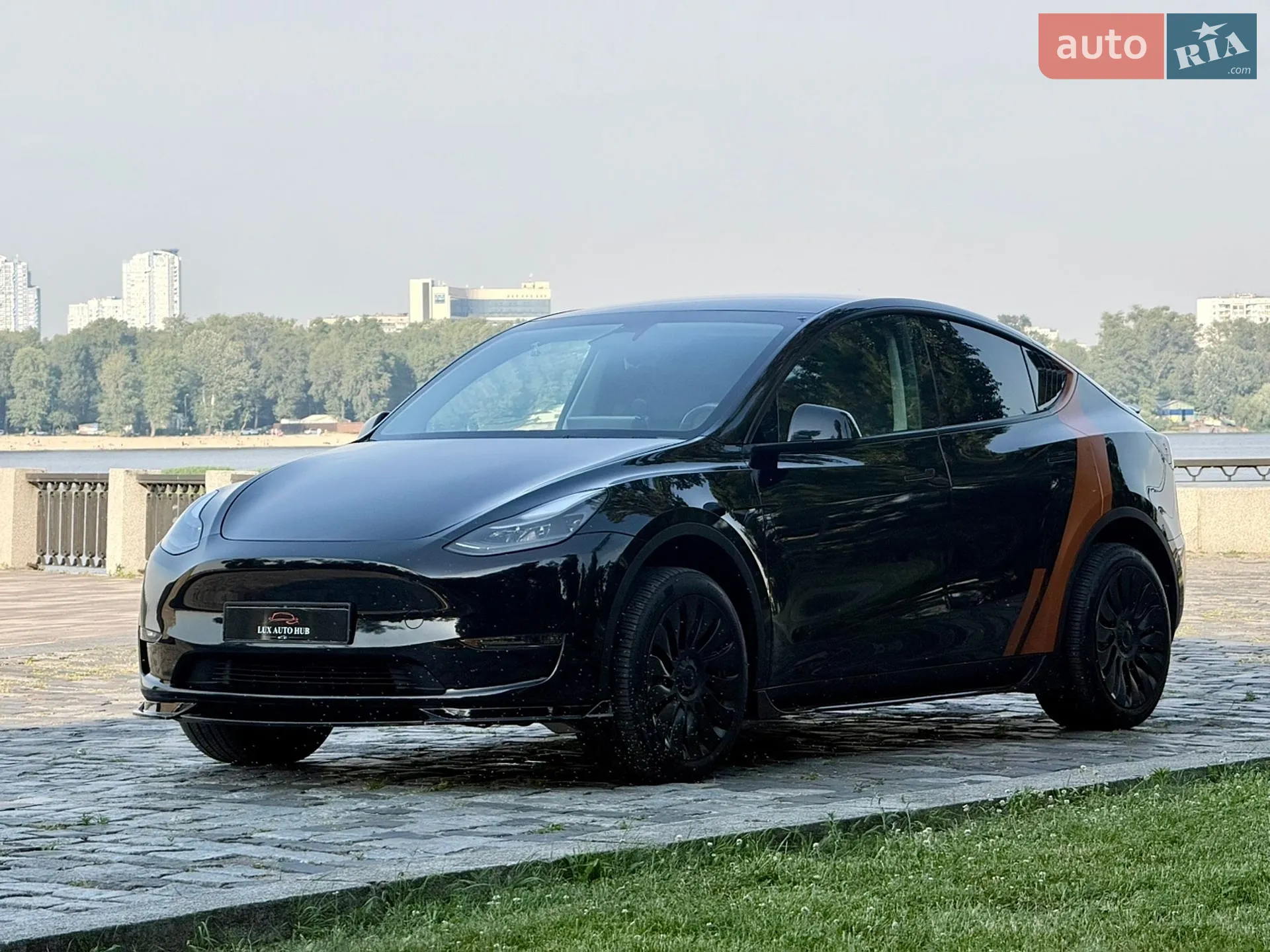 2024 Tesla Model Y - мініатюра 94