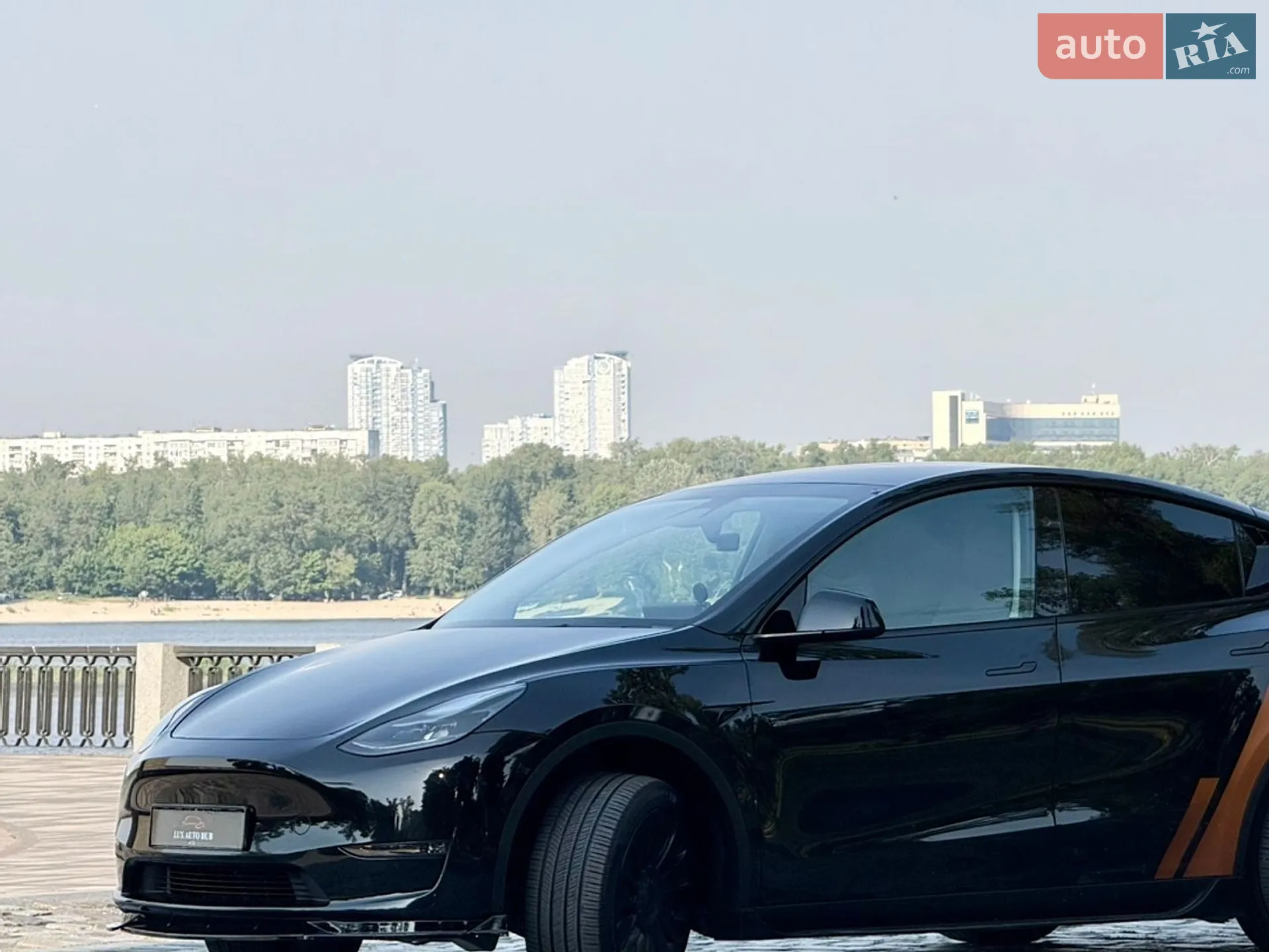 2024 Tesla Model Y - мініатюра 191