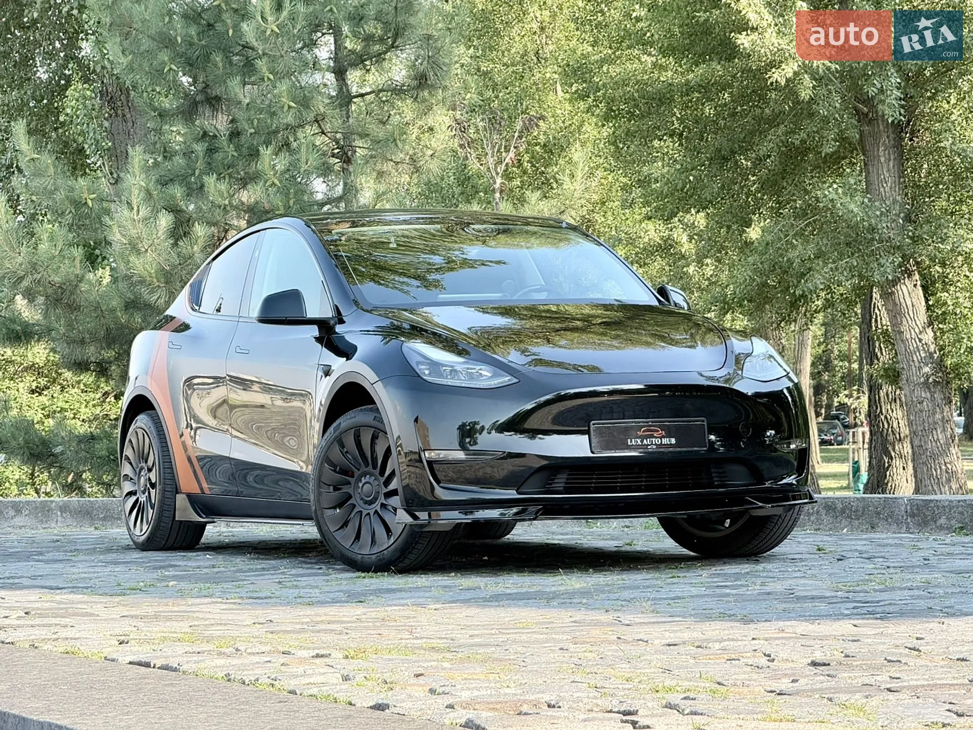 2024 Tesla Model Y - мініатюра 193