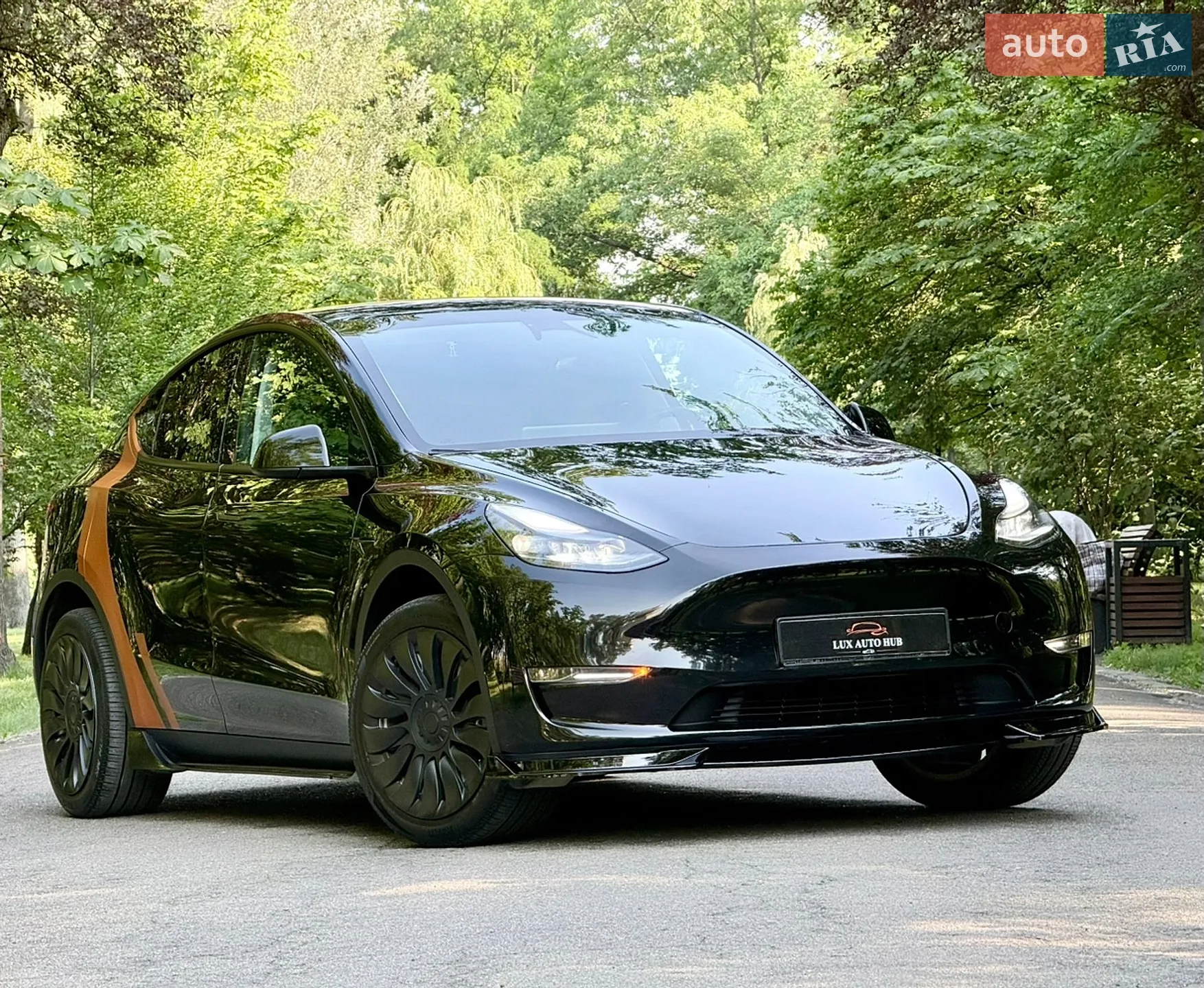 2024 Tesla Model Y - мініатюра 212