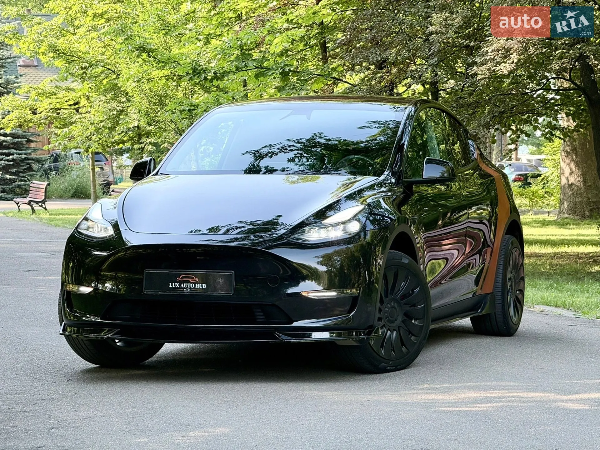 2024 Tesla Model Y - мініатюра 210