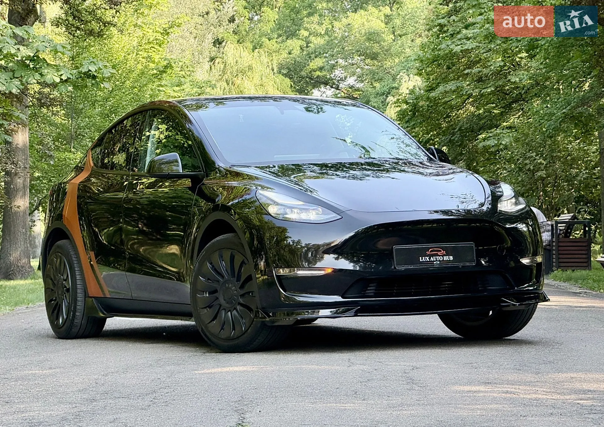 2024 Tesla Model Y - мініатюра 215