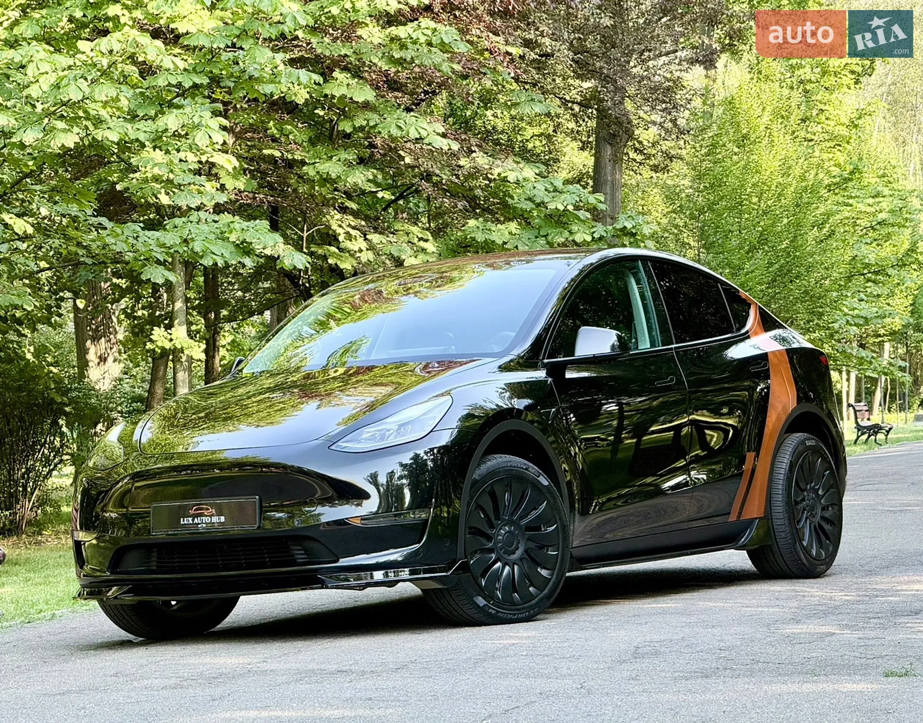 2024 Tesla Model Y - мініатюра 218