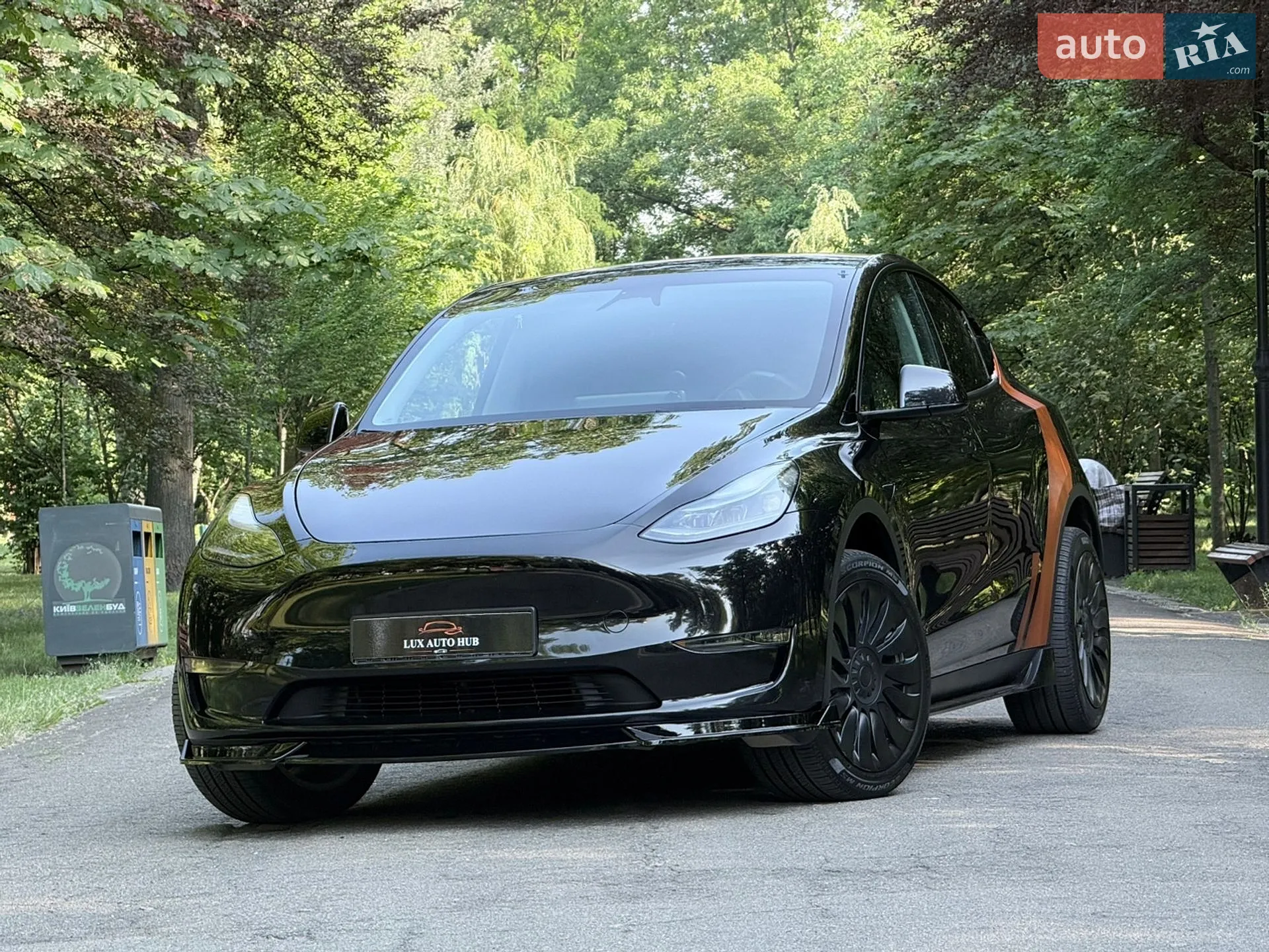 2024 Tesla Model Y - мініатюра 220