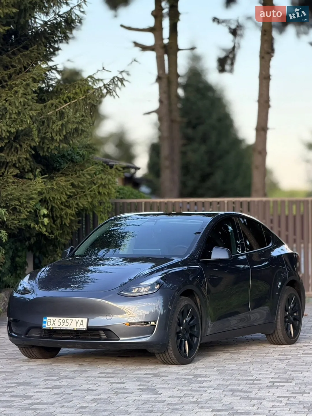 2022 Tesla Model Y - фото 1