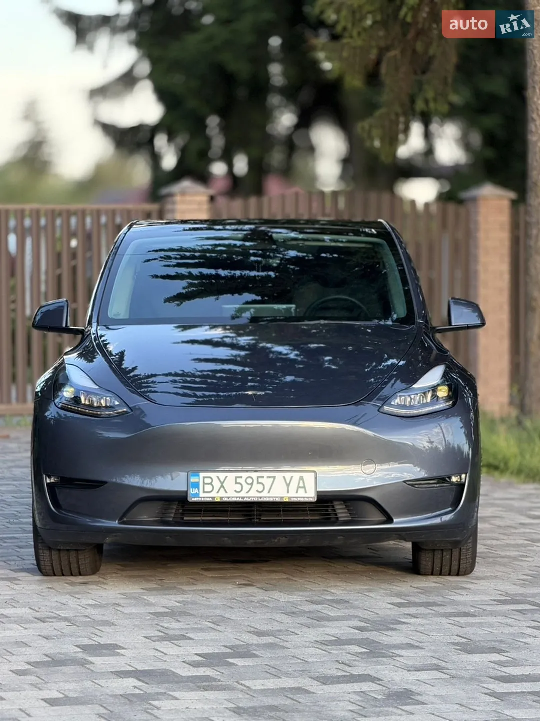 2022 Tesla Model Y - мініатюра 2
