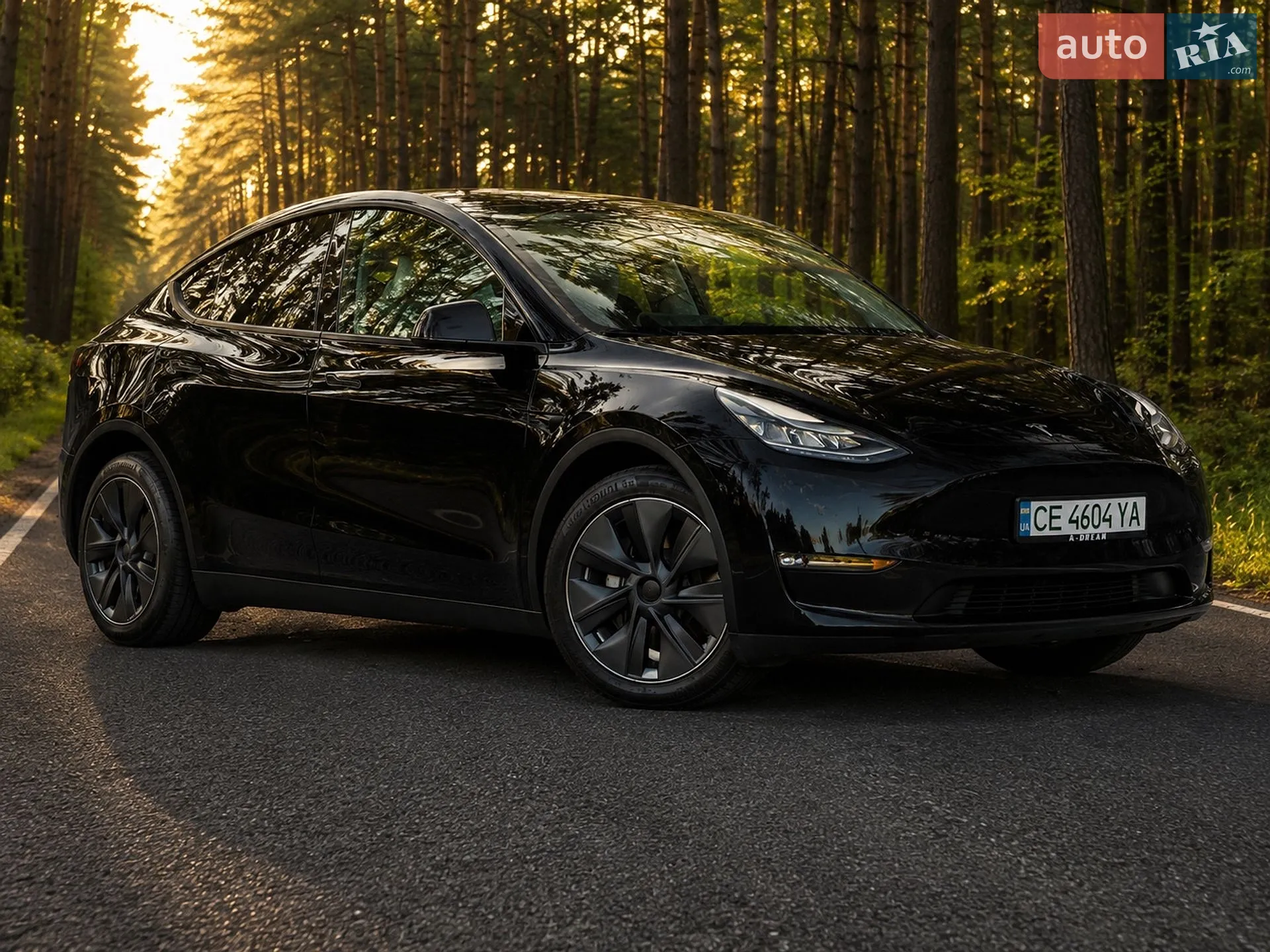 2024 Tesla Model Y - мініатюра 3