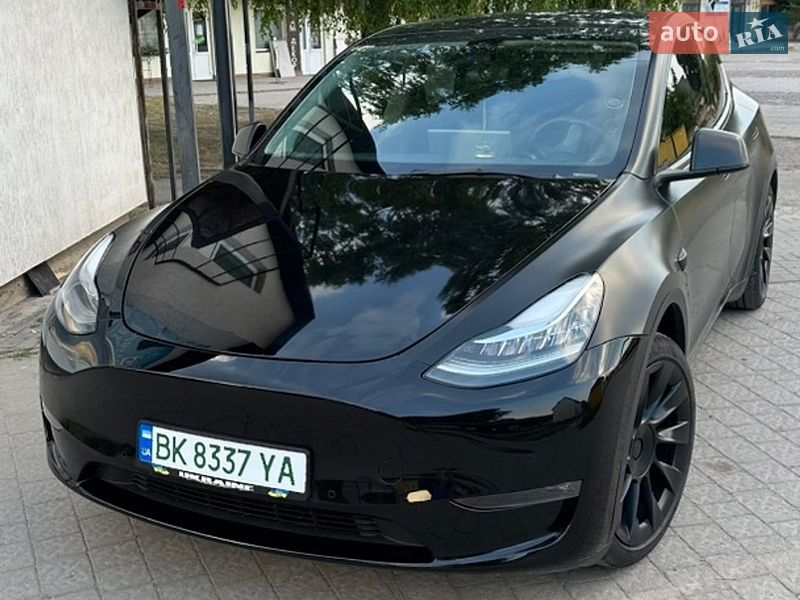 Позашляховик / Кросовер Tesla Model Y 2021 в Бродах