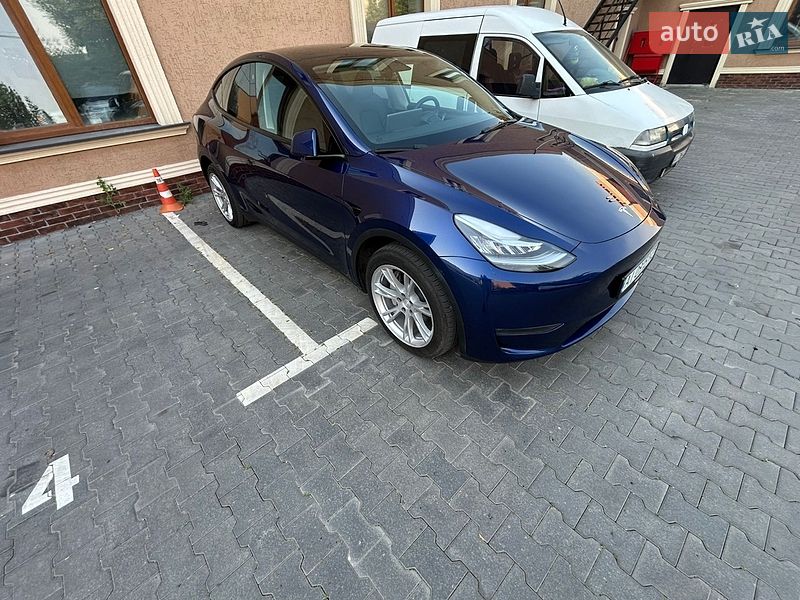 Позашляховик / Кросовер Tesla Model Y 2023 в Києві
