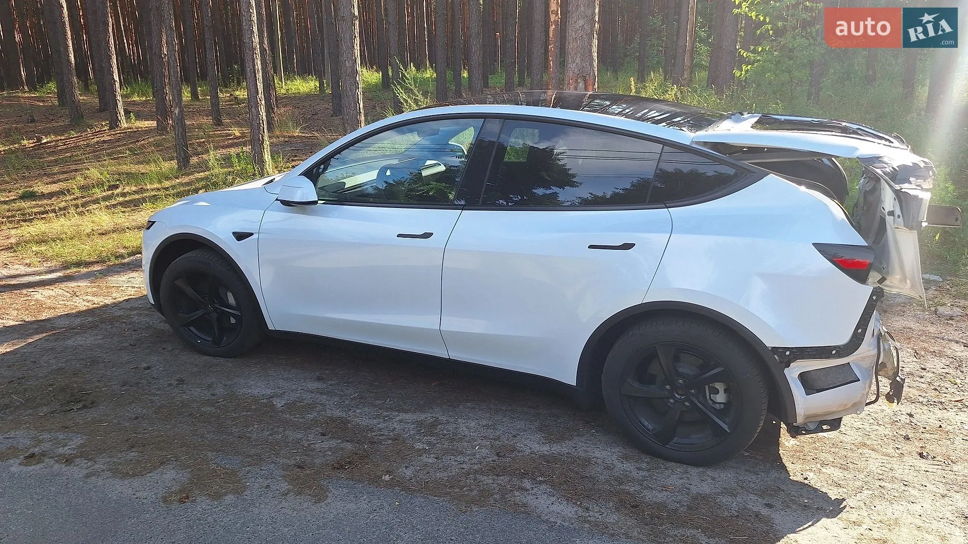 2025 Tesla Model Y - мініатюра 17