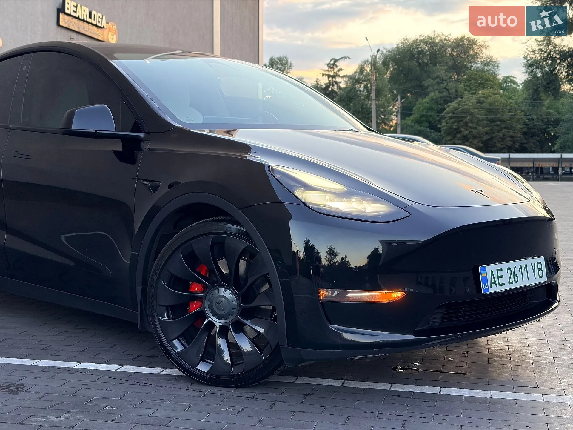 2022 Tesla Model Y - мініатюра 19