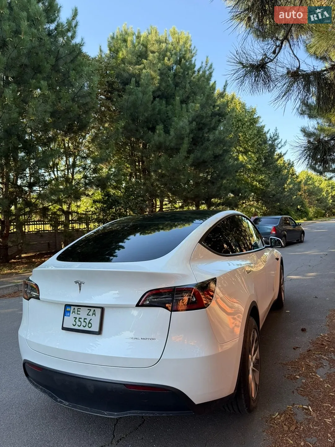 2023 Tesla Model Y - мініатюра 12