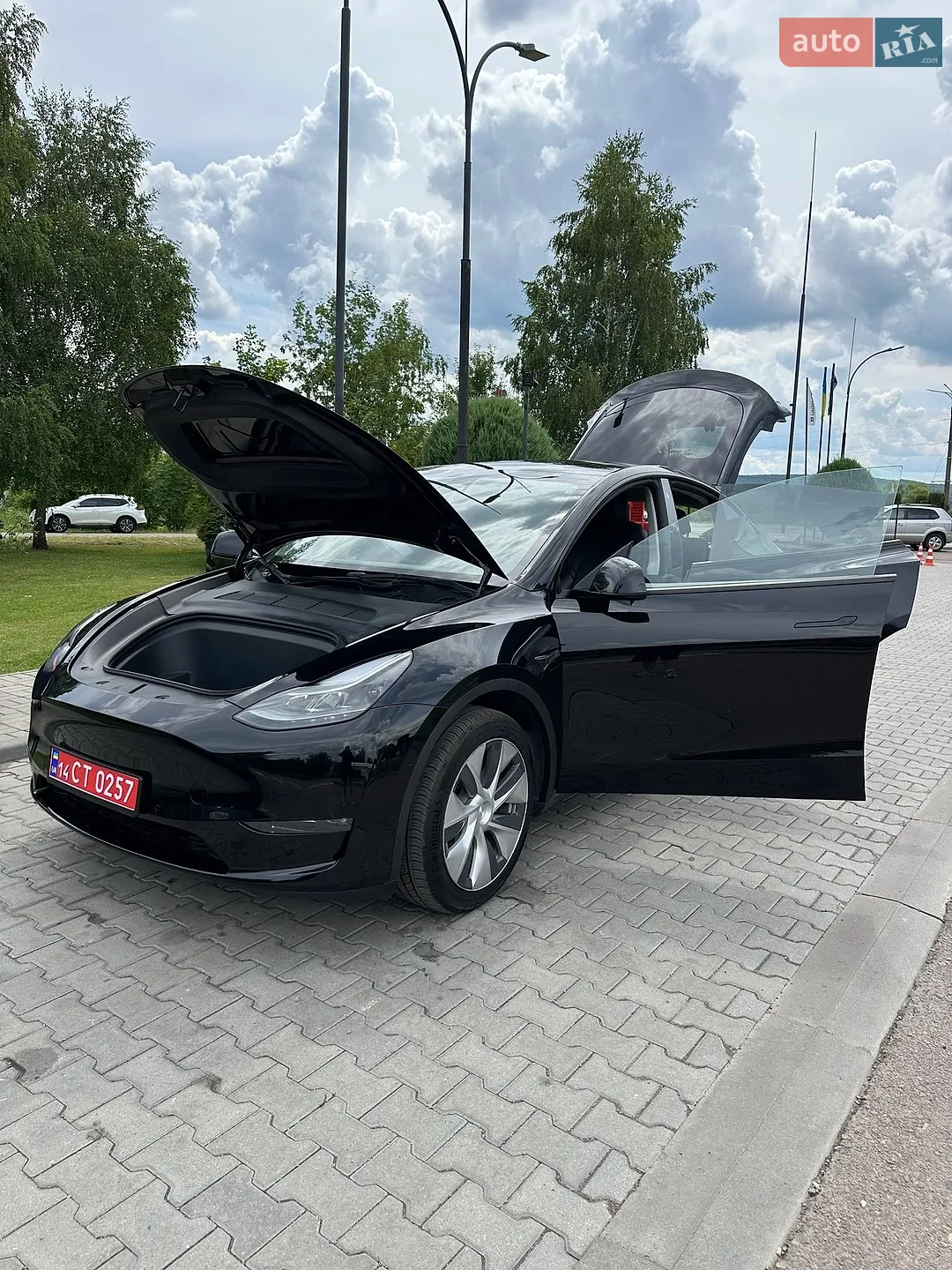 2021 Tesla Model Y - мініатюра 11
