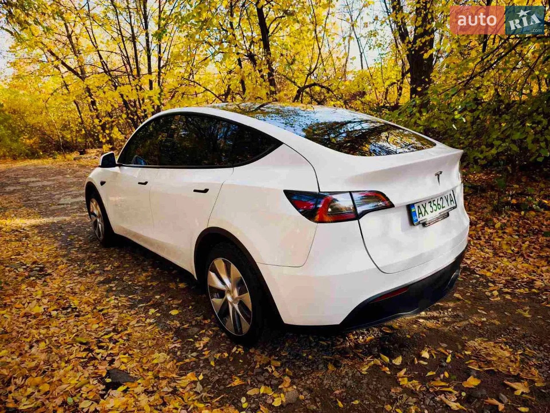 2023 Tesla Model Y - мініатюра 5