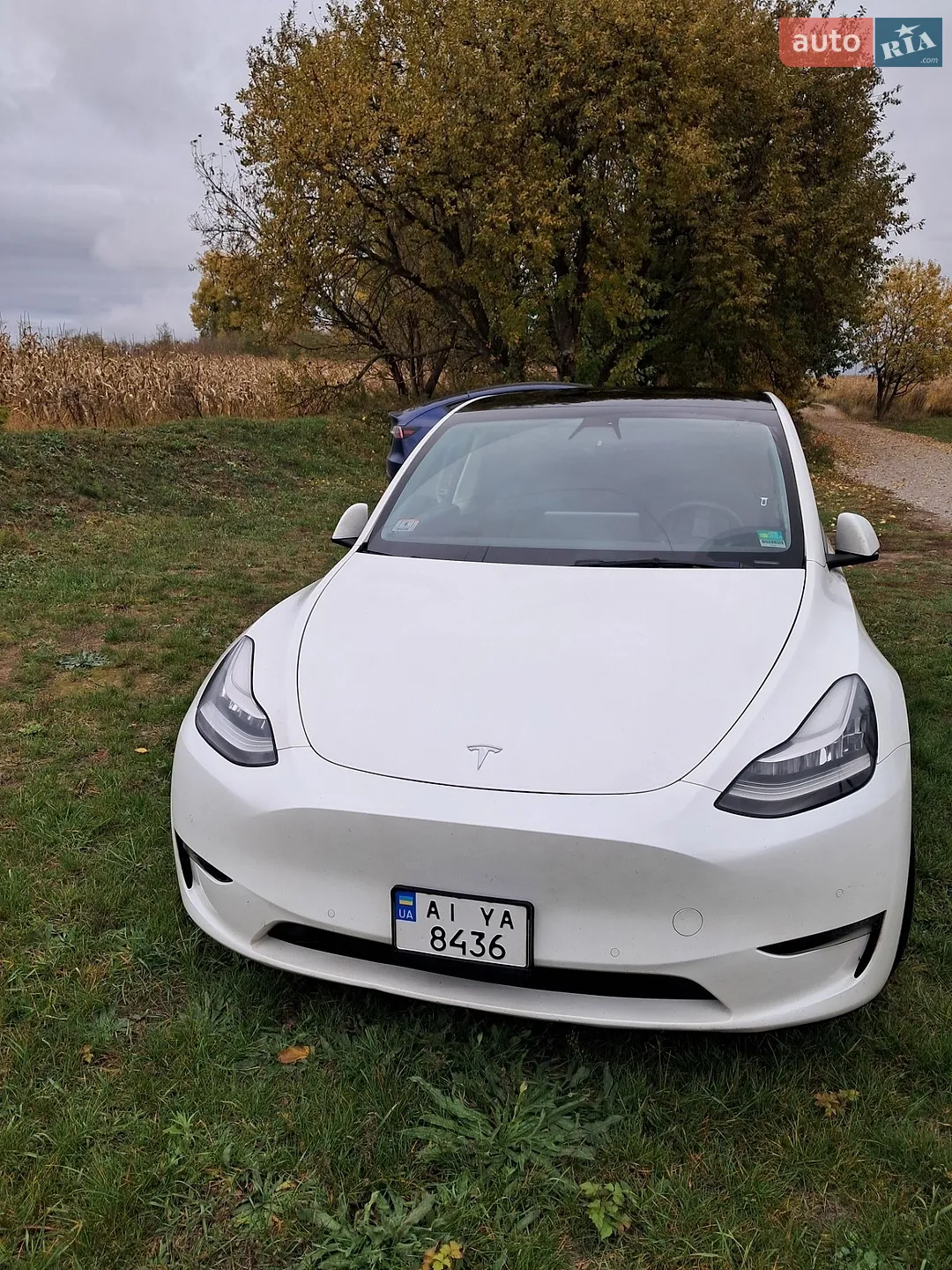 2021 Tesla Model Y - мініатюра 3