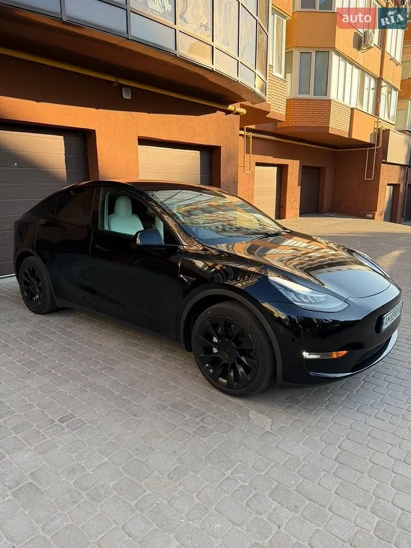2021 Tesla Model Y - мініатюра 17