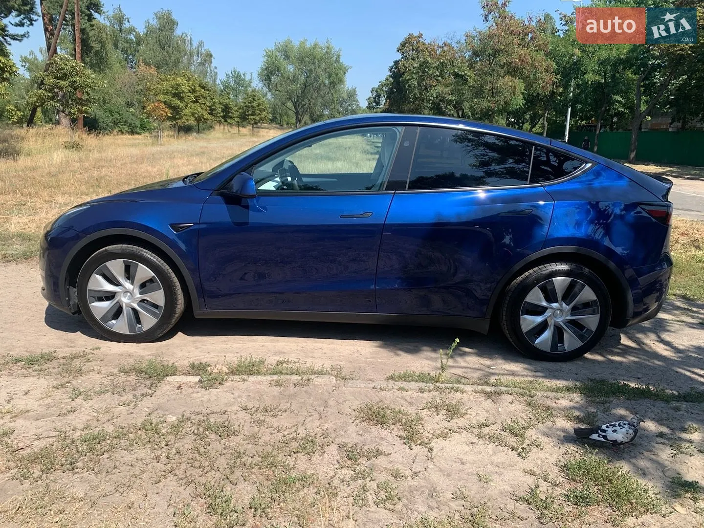 2023 Tesla Model Y - мініатюра 8