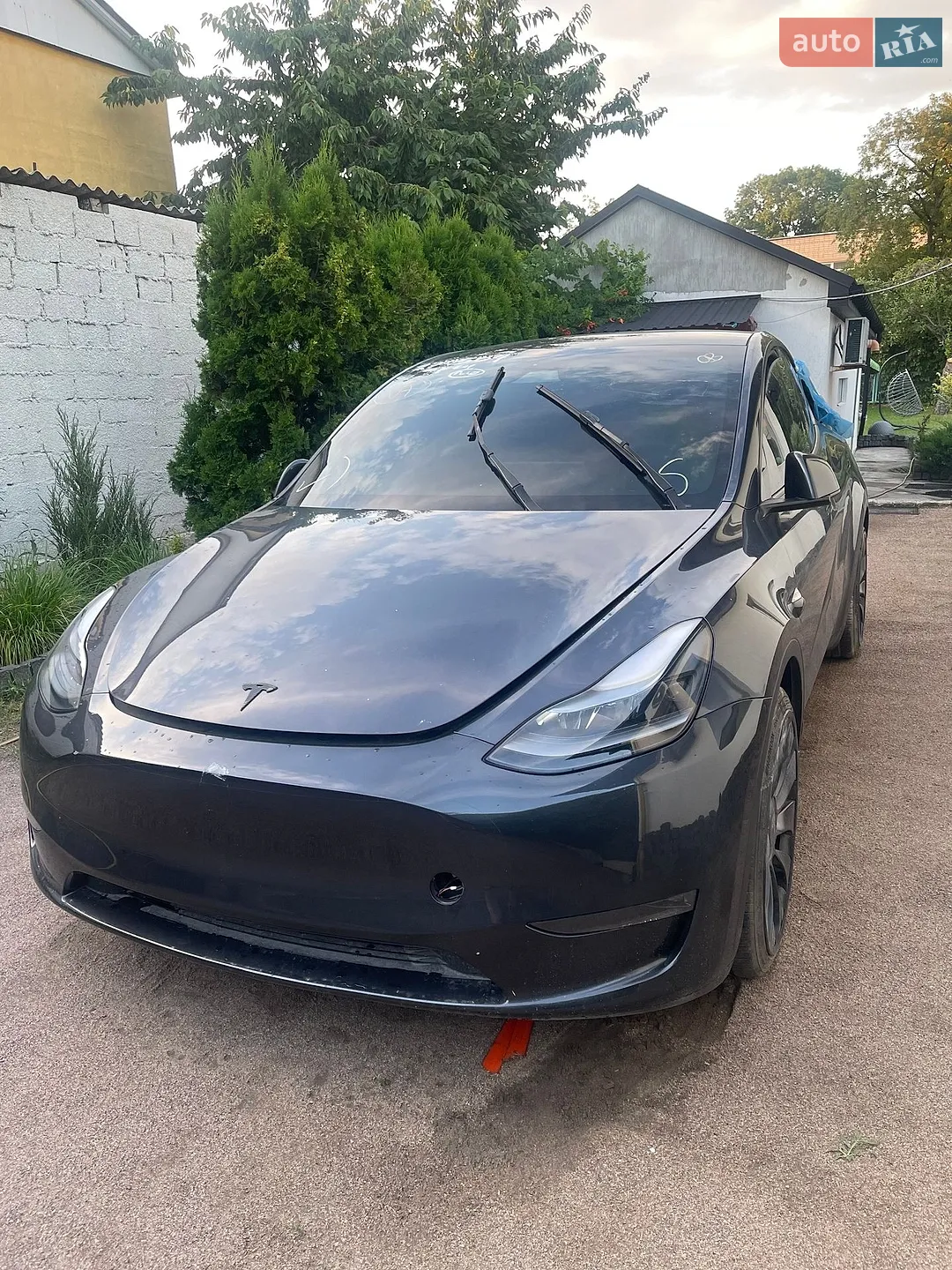 2024 Tesla Model Y - фото 1