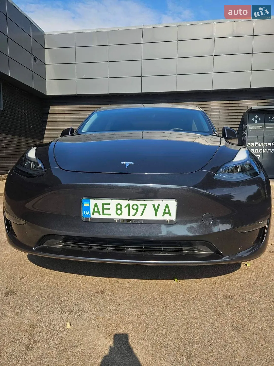 2024 Tesla Model Y - фото 1