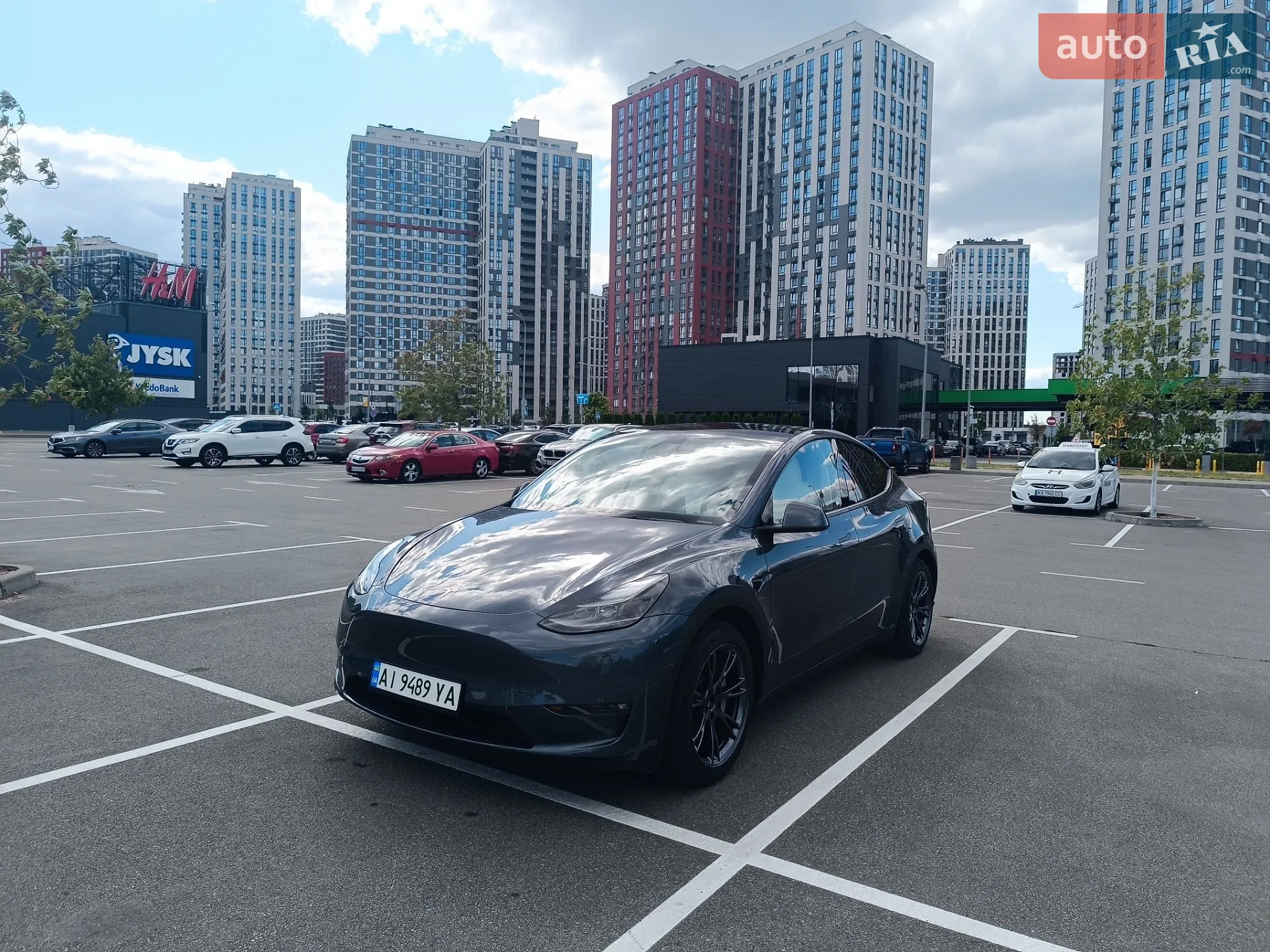 2023 Tesla Model Y - фото 1