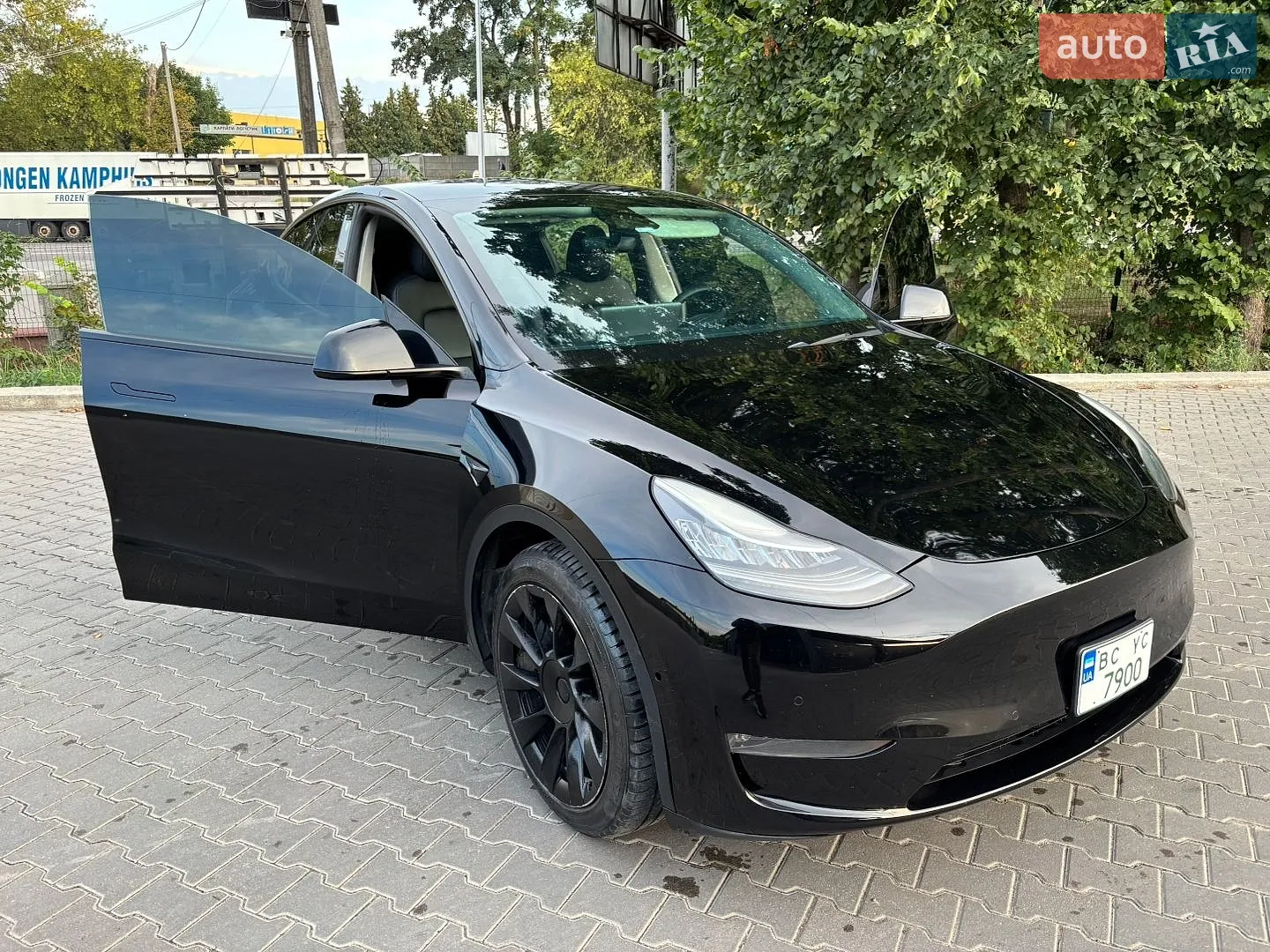 2020 Tesla Model Y - мініатюра 9