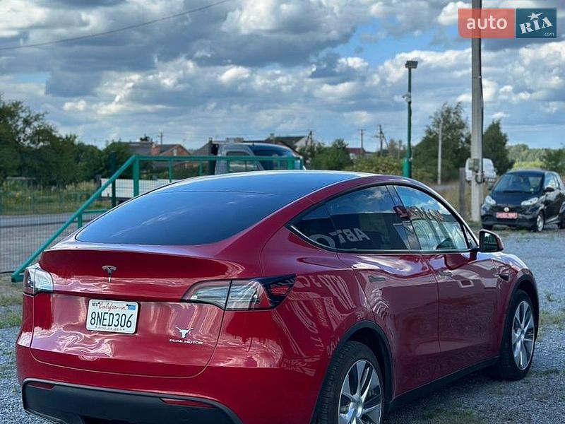 Позашляховик / Кросовер Tesla Model Y 2023 в Костопілі