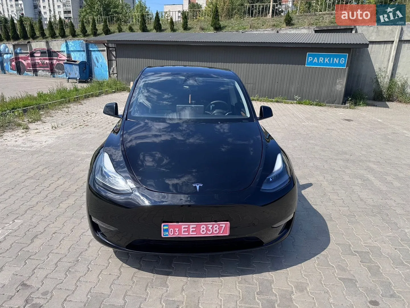 2024 Tesla Model Y - мініатюра 19