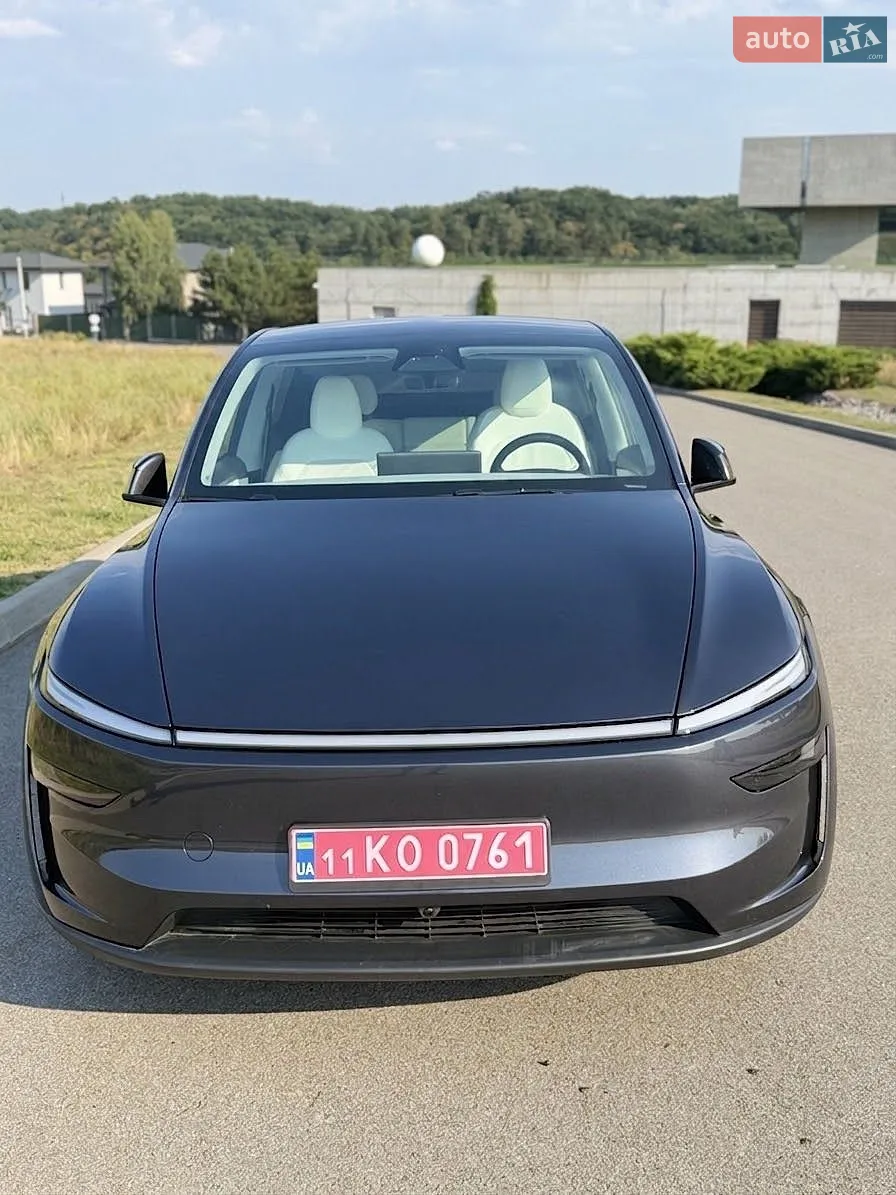 2025 Tesla Model Y - мініатюра 3