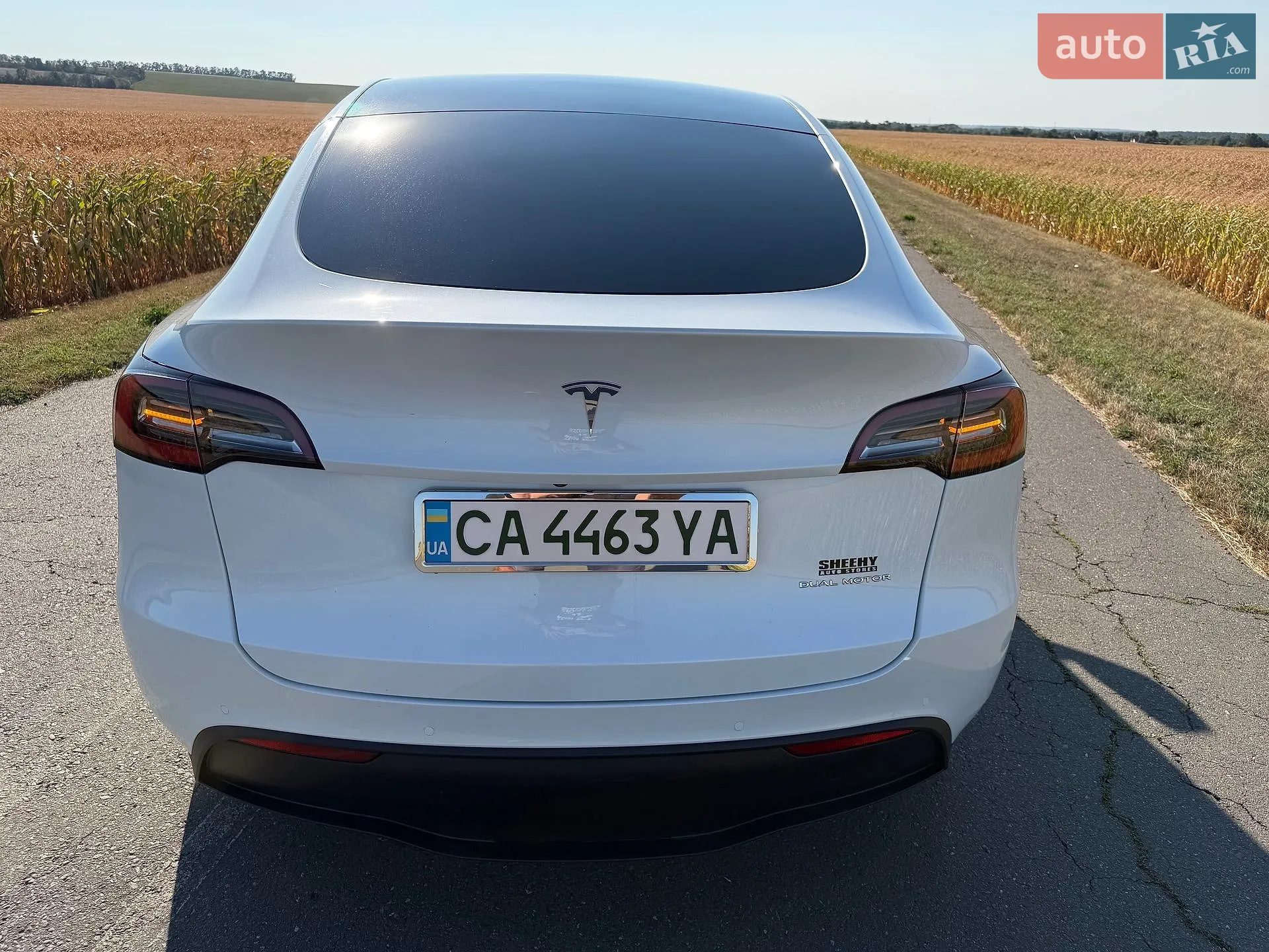 2020 Tesla Model Y - мініатюра 10