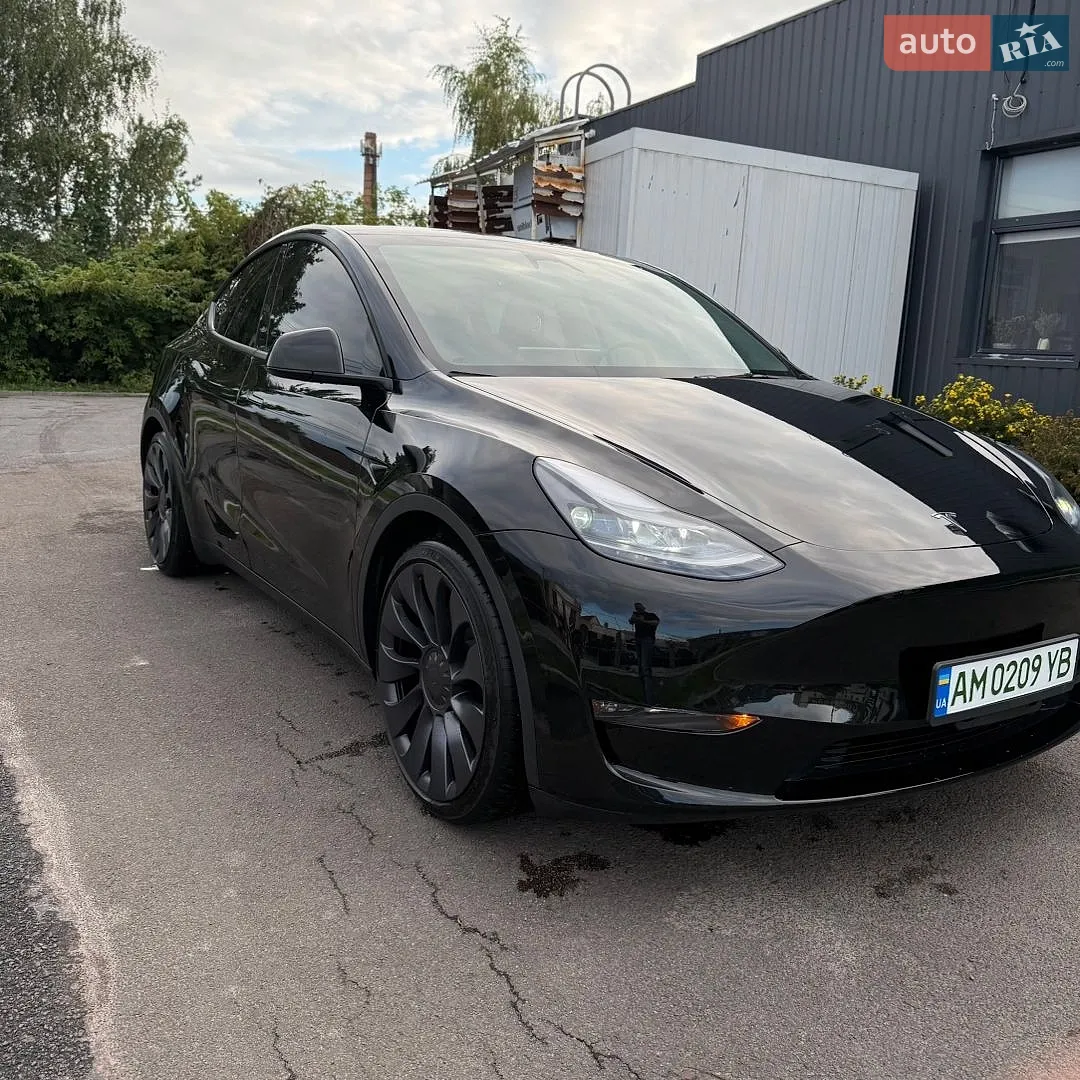 2024 Tesla Model Y - фото 1